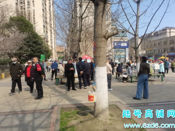 ��½�ţ���ɽ���������ݶ�����600ƽ������ת�ã�����6������ʵ��ͼƬ