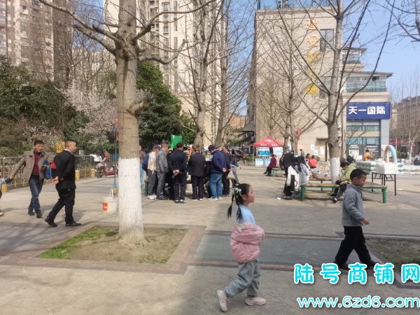 ��½�ţ���ɽ���������ݶ�����600ƽ������ת�ã�����6������ʵ��ͼƬ