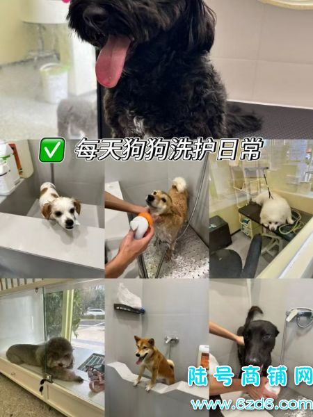 ½ţ羭ӪгתãȶͻʵͼƬ