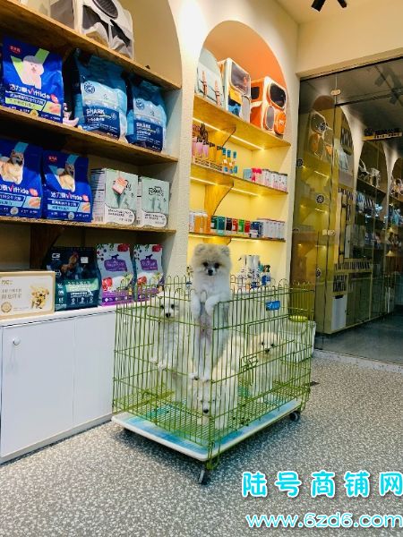 ��½�ţ���ɽ�������ͳ�����Է�����ת�ã���Ա�࣬Ҳ�ɿ�תʵ��ͼƬ