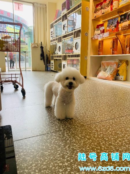 ��½�ţ���ɽ�������ͳ�����Է�����ת�ã���Ա�࣬Ҳ�ɿ�תʵ��ͼƬ