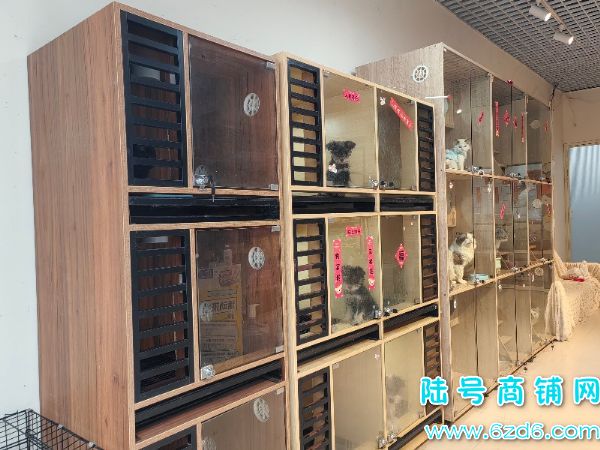 ½ţ2ͼת  ԰J7ϵתʵͼƬ