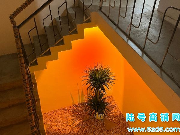 ½ţ»·200ƽתã1200ʵͼƬ