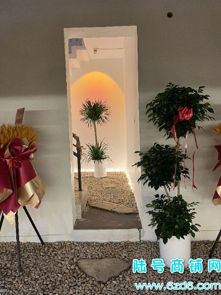 ½ţ»·200ƽתã1200ʵͼƬ