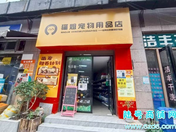 дһ¥ٽ̳⣬46ƽ ҵʵͼƬ