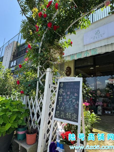 ��½�ţ���ɽ����������빫԰����ת�ã��ɽ̼���Ҳ�ɿ�תʵ��ͼƬ