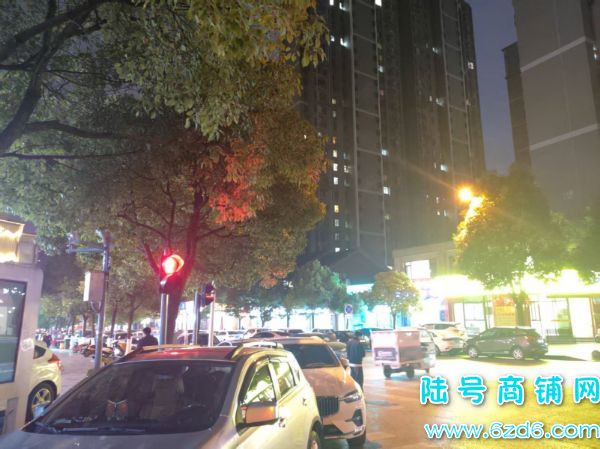 ��ɽ�����ͳ��ٽ�252.2ƽ����������ת��ʵ��ͼƬ