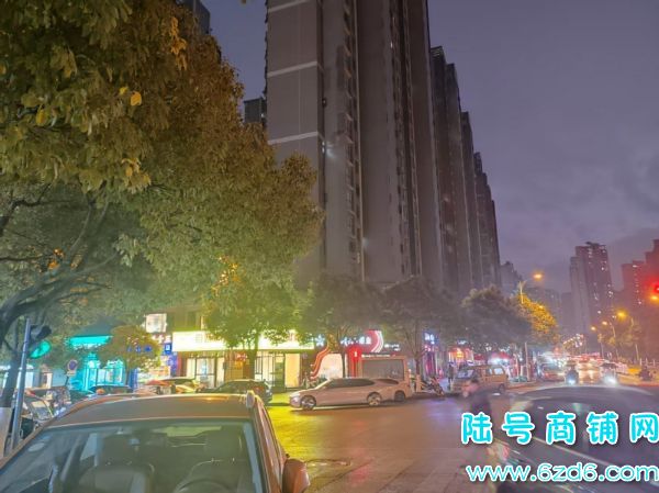 ��ɽ�����ͳ��ٽ�252.2ƽ����������ת��ʵ��ͼƬ