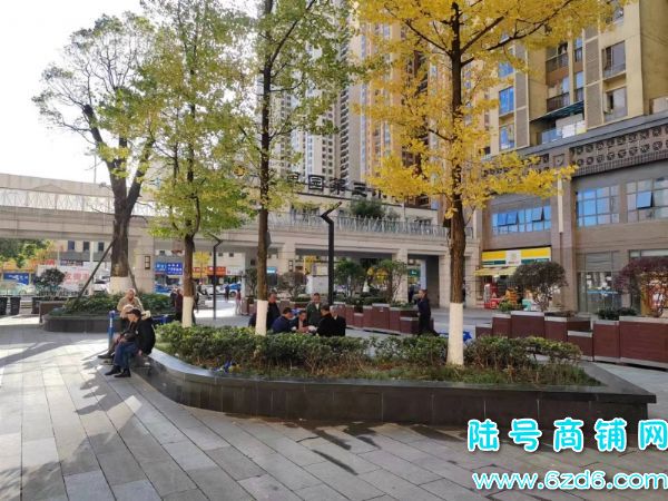 ����԰M��16������Ʒ������ҩ��ת�ã�����ת�üۿ�̸ʵ��ͼƬ