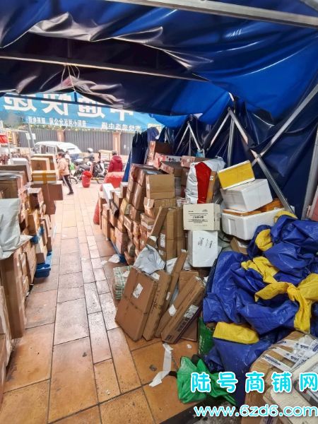 ÿ���ɼ�1100��Ʊ С����ƴ󶼻��ݵ�ͼ�ת��ʵ��ͼƬ