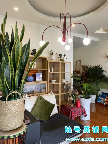 ��½�ţ���������Ӫ���д���ʾ�Ӫ�����������޵�ת��ʵ��ͼƬ