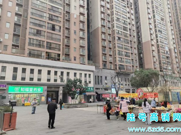 ����������԰T1��9��58ƽ���˱�����ת��ʵ��ͼƬ