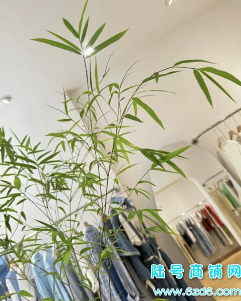 ��½�ţ������в��㳡�ٽַ�װ��ת�ã����ĵض���������ʵ��ͼƬ