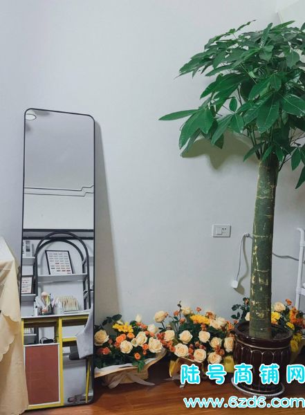 ��½�ţ��������������ױ���׵�ת�ã���ת1w�����ʵ��ͼƬ