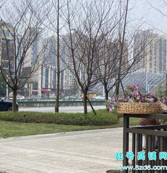 ��½�ţ���ɽ���������������ٽ�����Ժת�ã�����1ǧÿ��ʵ��ͼƬ