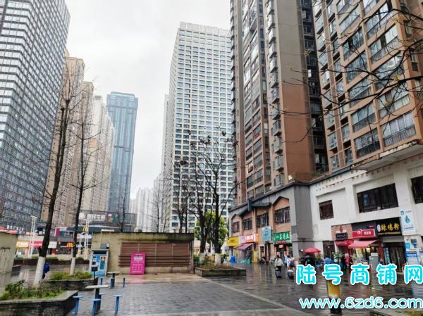 5������ ����԰T1��8����Ӫ������ת��ʵ��ͼƬ