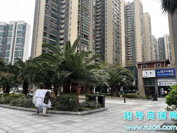 ��½�ţ����ʲ�������װ�������£���չ��A5���ŵͼ�ת��ʵ��ͼƬ