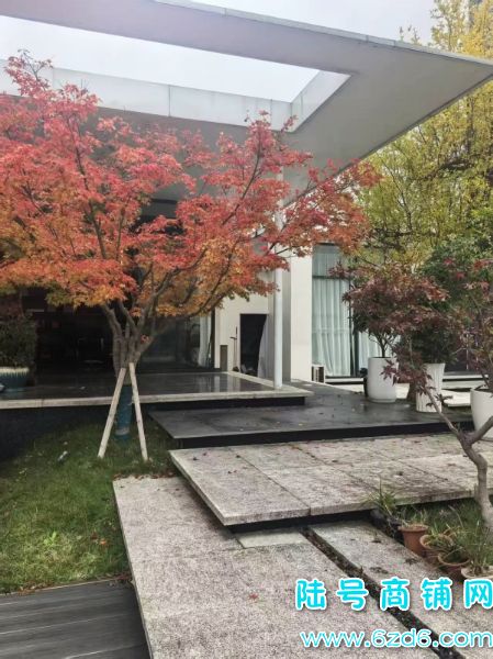 ��������800ƽ�칫���ش���԰ ����������������ʵ��ͼƬ