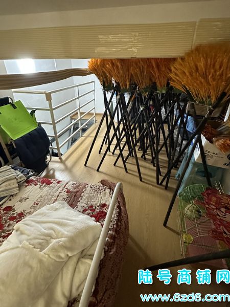 ��½�ţ���ɽ���������ݶ�D���ٽ־�װ�޻���ת��ʵ��ͼƬ