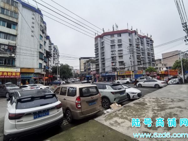 �ͼ�ת�����������կ��ԡ������ ����1200ʵ��ͼƬ