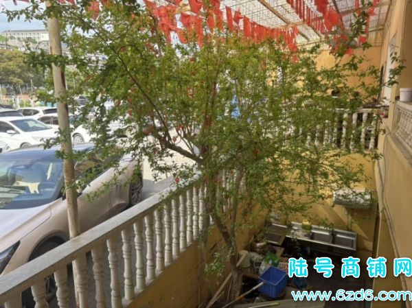 8������ �������Ͻ��㳡�ٽ�255ƽ������ת��ʵ��ͼƬ