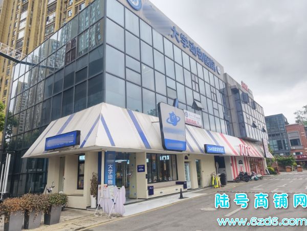 ��ɽ������򻨳Ƕ���300ƽ���������ת��ʵ��ͼƬ