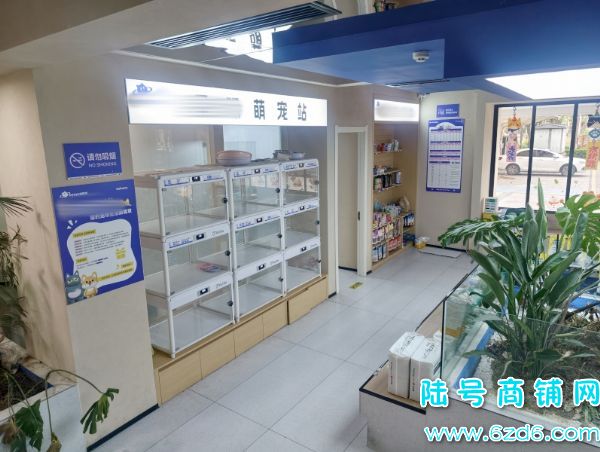 ��ɽ������򻨳Ƕ���300ƽ���������ת��ʵ��ͼƬ