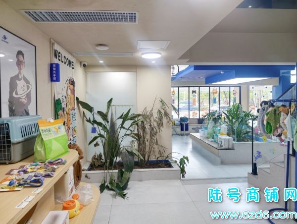 ��ɽ������򻨳Ƕ���300ƽ���������ת��ʵ��ͼƬ