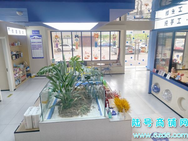 ��ɽ������򻨳Ƕ���300ƽ���������ת��ʵ��ͼƬ