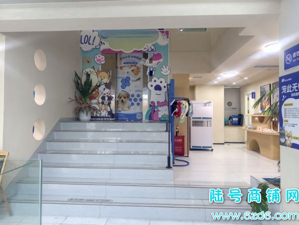 ��ɽ������򻨳Ƕ���300ƽ���������ת��ʵ��ͼƬ