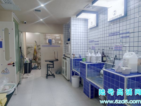 ��ɽ������򻨳Ƕ���300ƽ���������ת��ʵ��ͼƬ