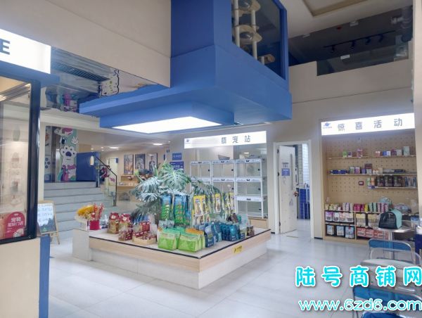 ��ɽ������򻨳Ƕ���300ƽ���������ת��ʵ��ͼƬ