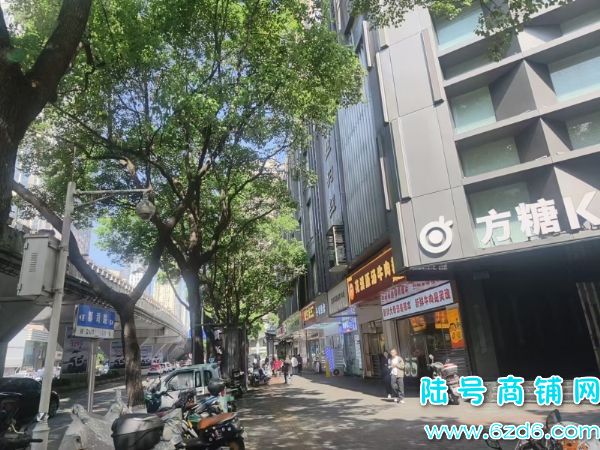 6������ ����������·�߶˼�������������ת��ʵ��ͼƬ