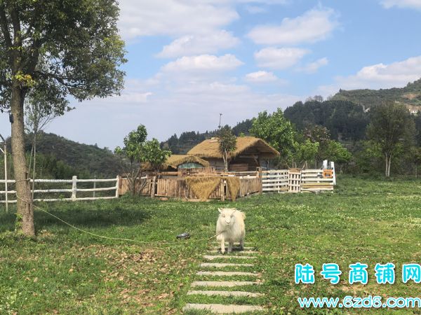 ��½�ţ������µ����ɽ��ռ��12��Ķ����ɽׯת��ʵ��ͼƬ