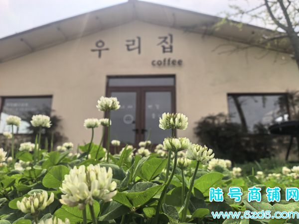 ��½�ţ������µ����ɽ��ռ��12��Ķ����ɽׯת��ʵ��ͼƬ