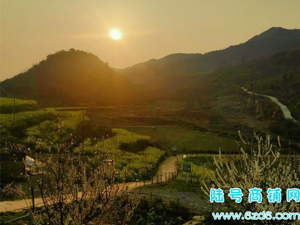 ��½�ţ������µ����ɽ��ռ��12��Ķ����ɽׯת��ʵ��ͼƬ