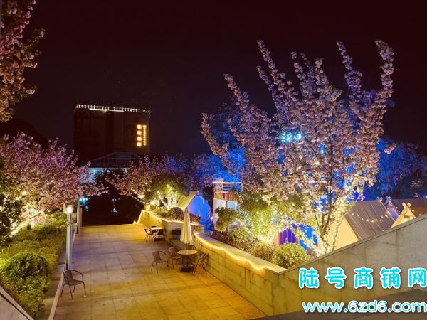 4���ת ��Ϫ����ѧ���ձ�ͥ��200ƽС�ƹݵͼ�ת��ʵ��ͼƬ