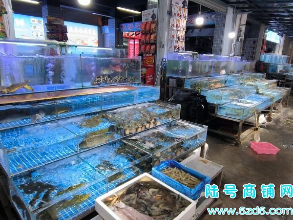 ��½�ţ���ɽ����������ˮ�����ʳ� ������/���ʵ������ŵ�ת��ʵ��ͼƬ