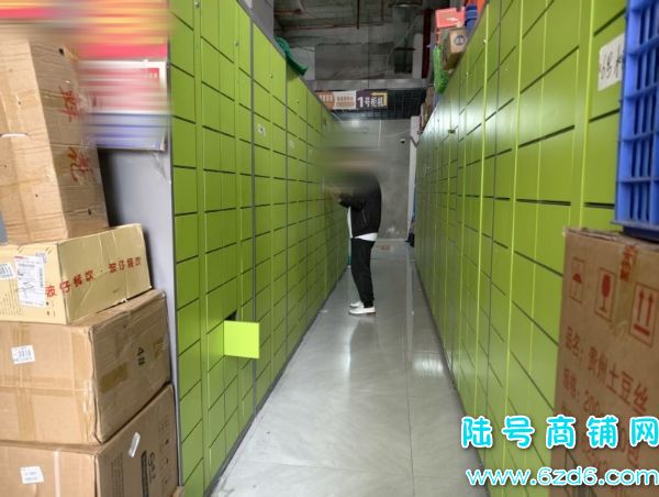600�ɼ� ���������ܹ񻨹�԰T1��9����ݵ�ת��ʵ��ͼƬ