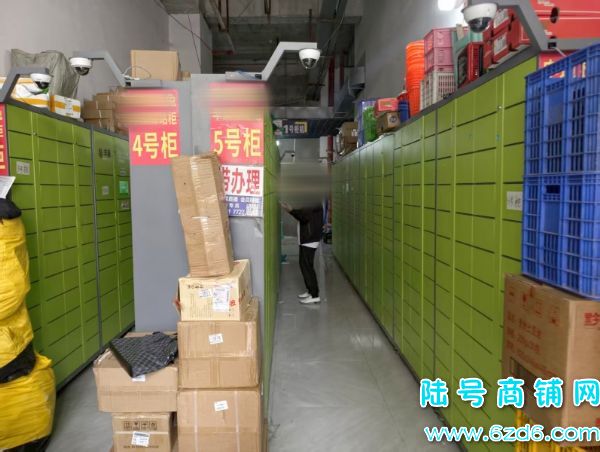 600�ɼ� ���������ܹ񻨹�԰T1��9����ݵ�ת��ʵ��ͼƬ