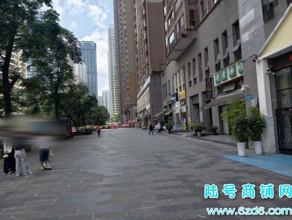 600�ɼ� ���������ܹ񻨹�԰T1��9����ݵ�ת��ʵ��ͼƬ