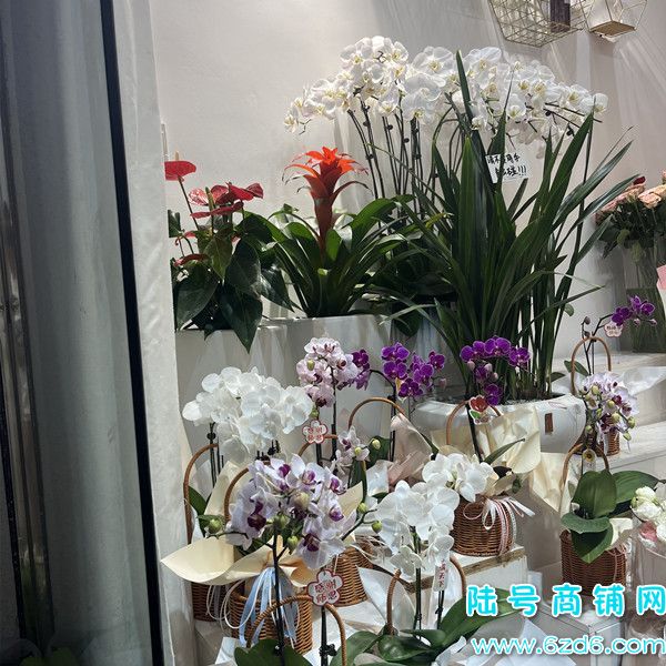 ��½�ţ���Ϫ����ѧ��˼����ʳ��������ת�ã����Կ�תʵ��ͼƬ