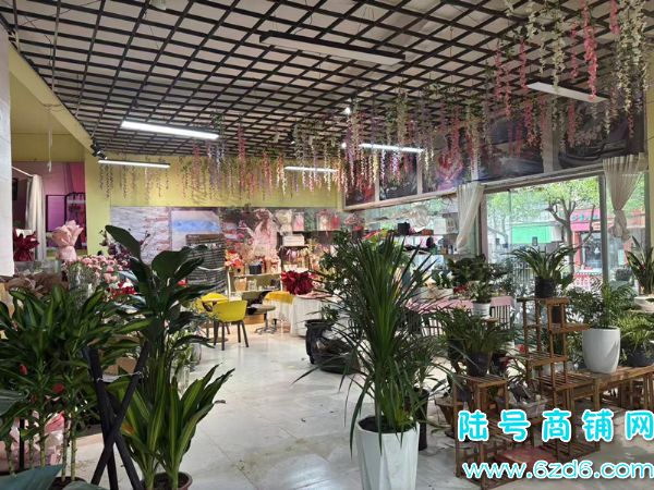 ��½�ţ�����1500�������ػ��Ǳ�·220ƽ����ת�ã��ɿ�תʵ��ͼƬ