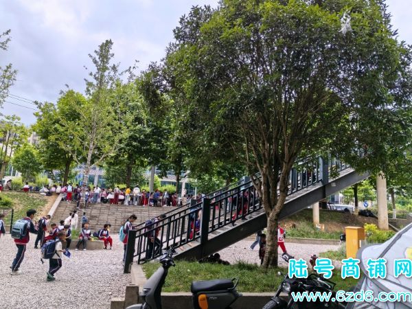 ��½�ţ���������С��ְͨҵ��ѧҹ��������ת��ʵ��ͼƬ