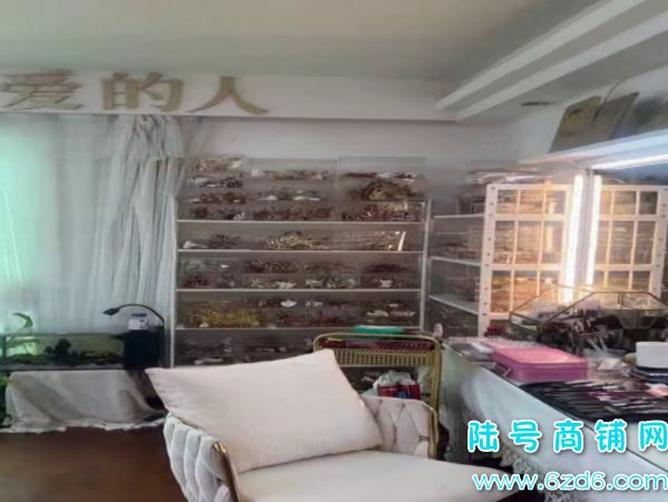 ��½�ţ��������������ܻԴ��þ�Ӫʮ�����ɴ��ױ��ת��ʵ��ͼƬ