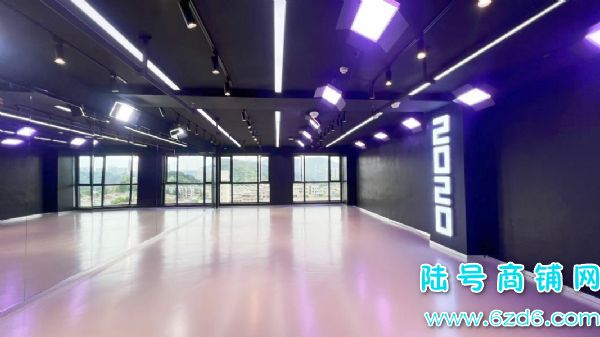 �ڵ�����������300ƽ�赸��ѵ����ת�ã���Դһ�ٶ��ʵ��ͼƬ