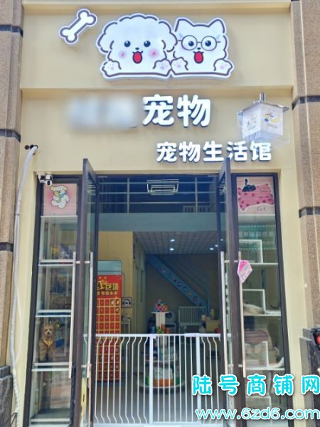 �����й���ҫ������80ƽ�����ת��ʵ��ͼƬ