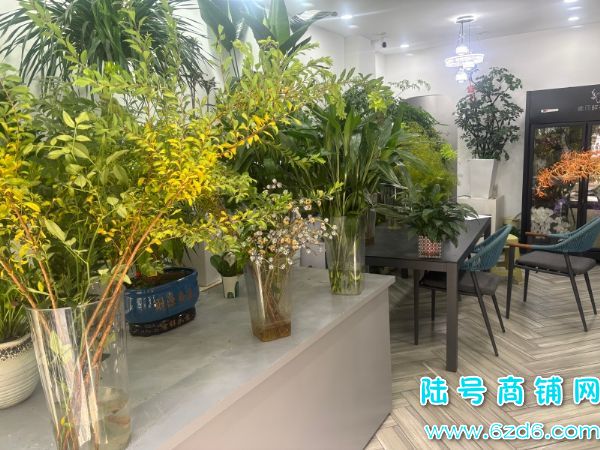 ��½�ţ�����������ӭ������ٽ�65ƽ����ת��ʵ��ͼƬ