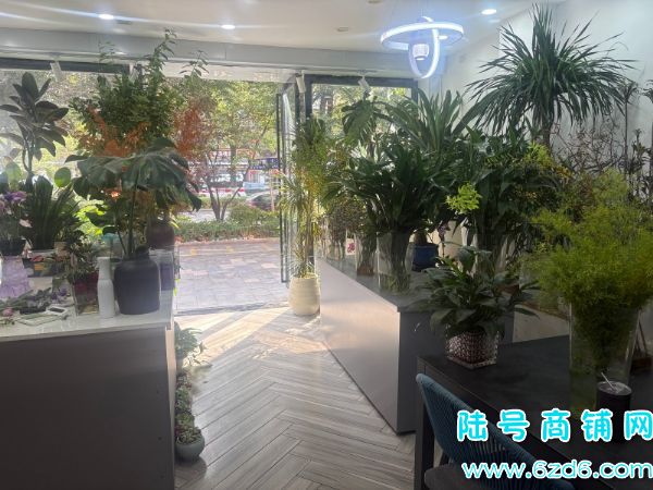 ��½�ţ�����������ӭ������ٽ�65ƽ����ת��ʵ��ͼƬ