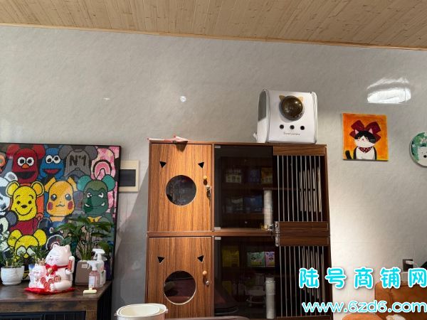 ��½�ţ�ÿ�·���1ǧ����������Ӻ��������ת��ʵ��ͼƬ